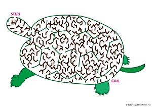 Turtle